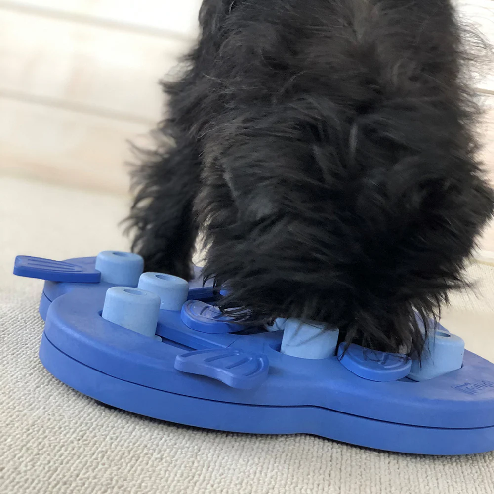 Nina Ottosson Dog Hide N Slide (2 colours) - Image 3