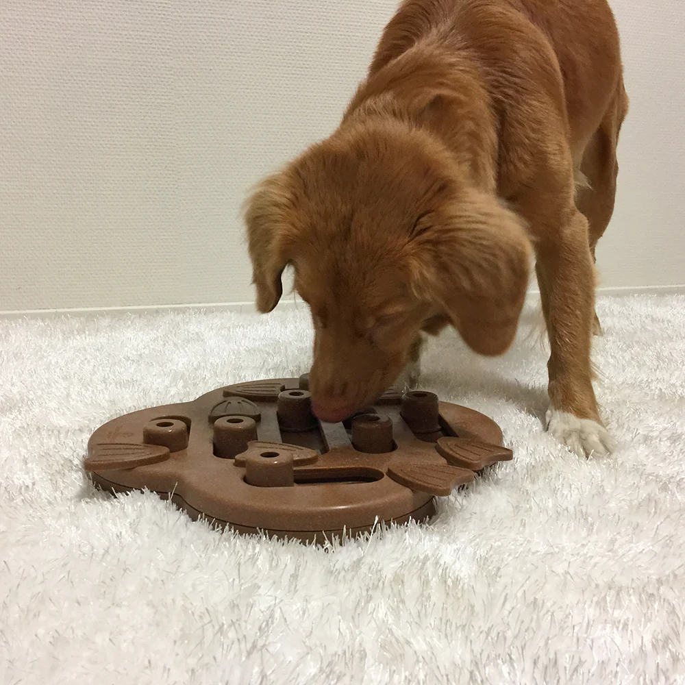 Nina Ottosson Dog Hide N Slide (2 colours) - Image 5