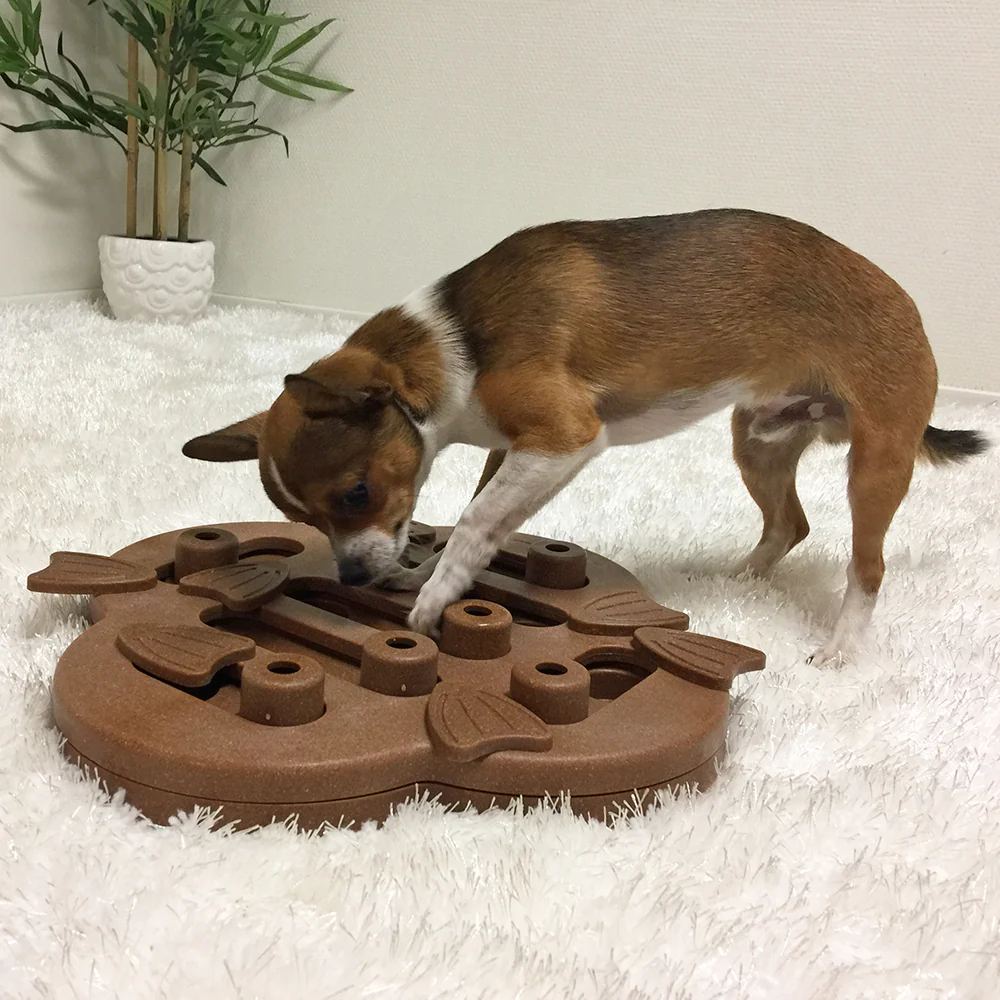 Nina Ottosson Dog Hide N Slide (2 colours) - Image 6