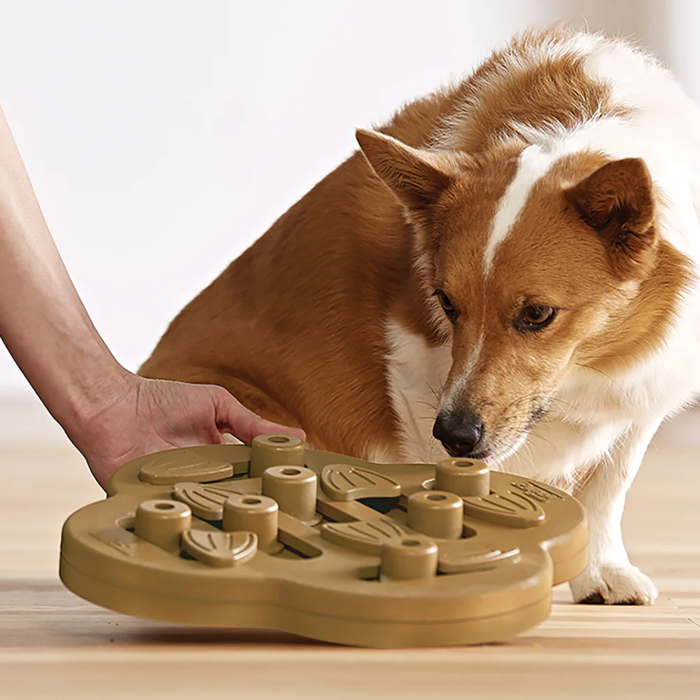 Nina Ottosson Dog Hide N Slide (2 colours) - Image 7