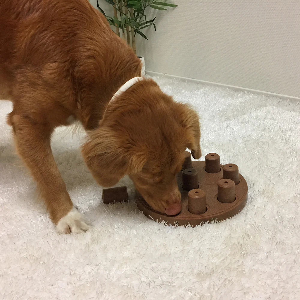 Nina Ottosson Dog Smart Composite - Image 4