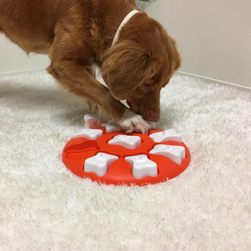 Nina Ottosson Dog Smart Orange - Image 3