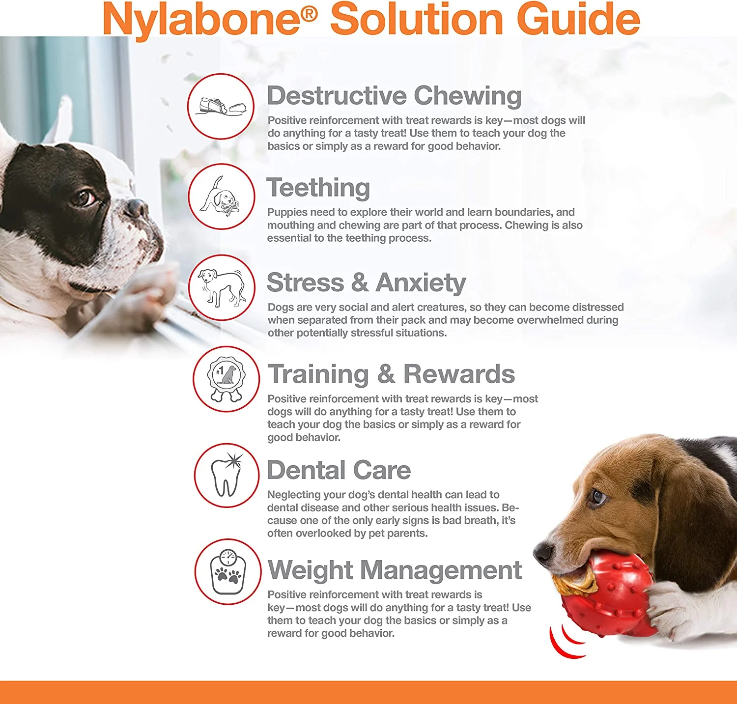 Nylabone Extreme Femur Bone Beef XLarge - Image 3