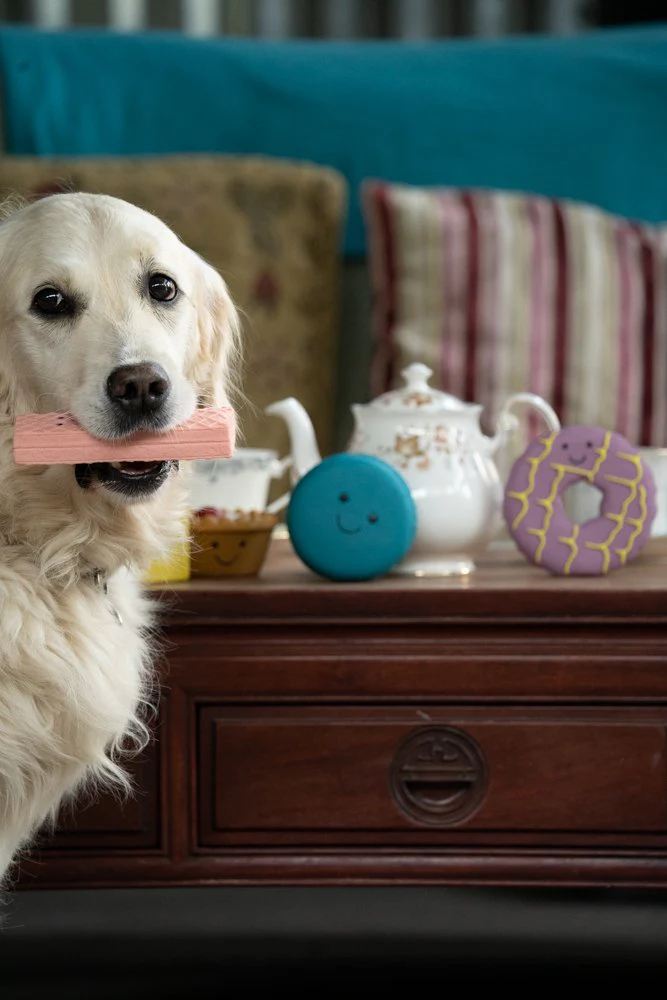 Petface Afternoon Tea Pink Wafer Dog Toy - Image 10