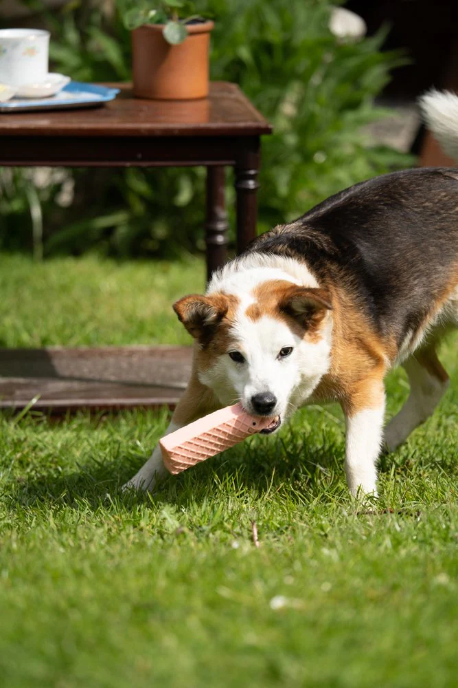 Petface Afternoon Tea Pink Wafer Dog Toy - Image 7