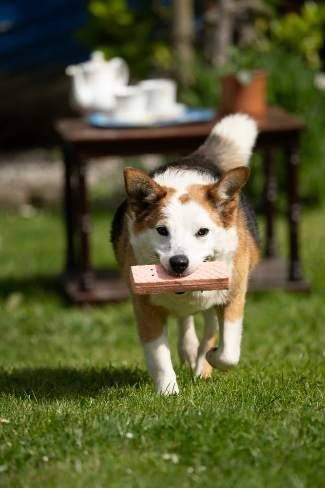Petface Afternoon Tea Pink Wafer Dog Toy - Image 8