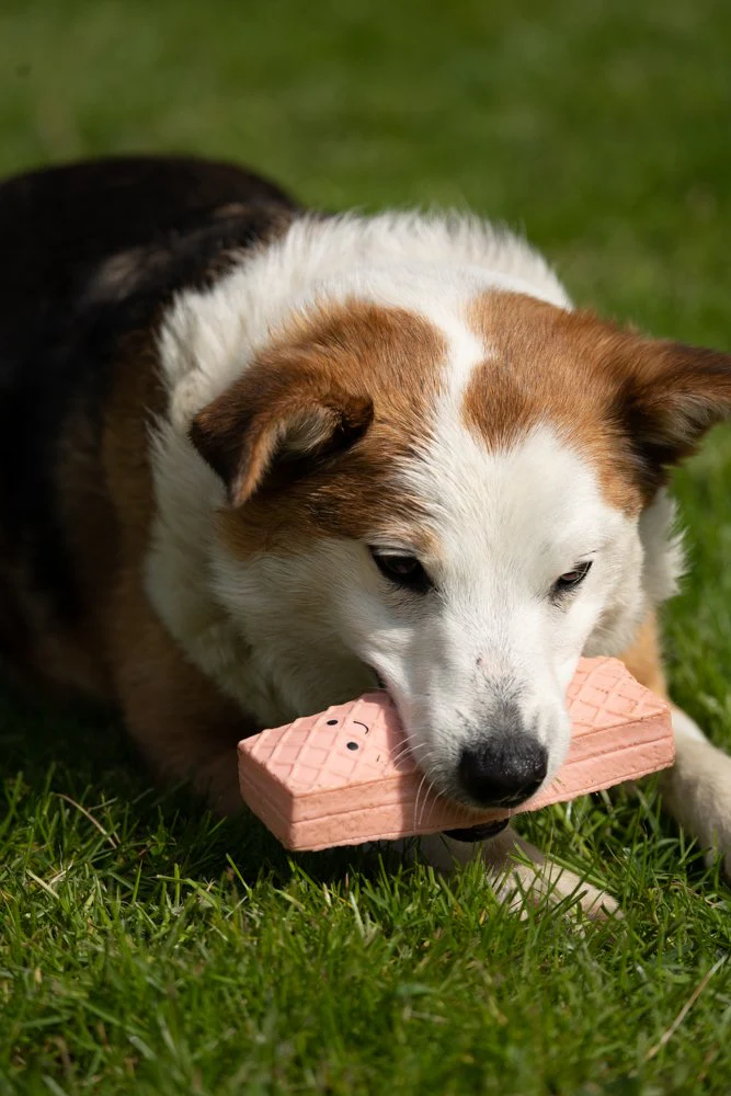 Petface Afternoon Tea Pink Wafer Dog Toy - Image 9