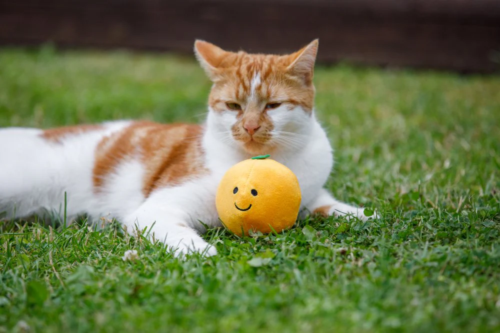 Petface Orange Plush Cat Toy - Image 3