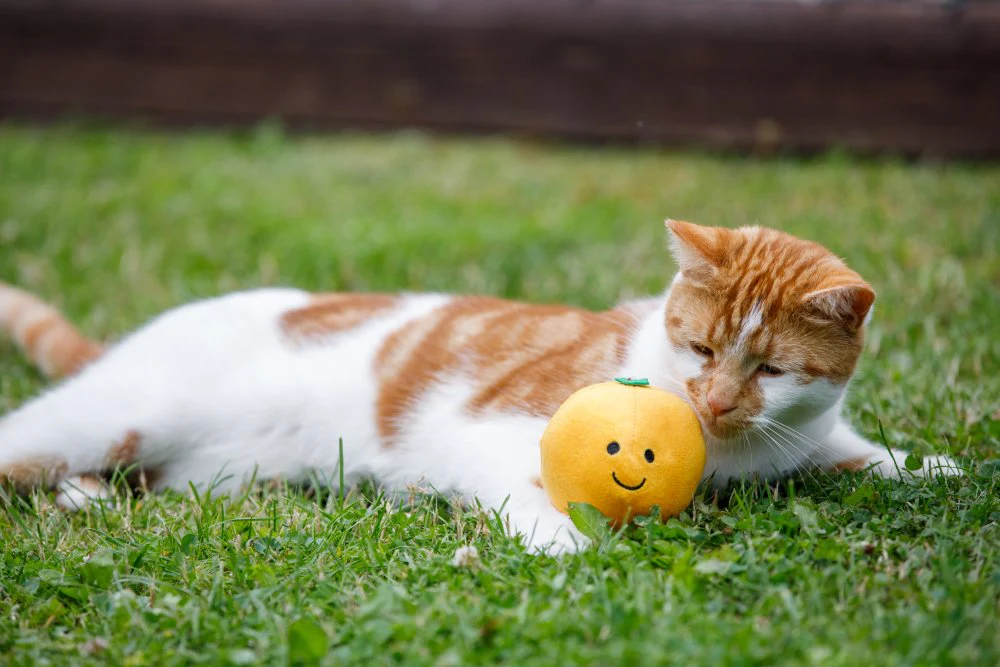 Petface Orange Plush Cat Toy - Image 4