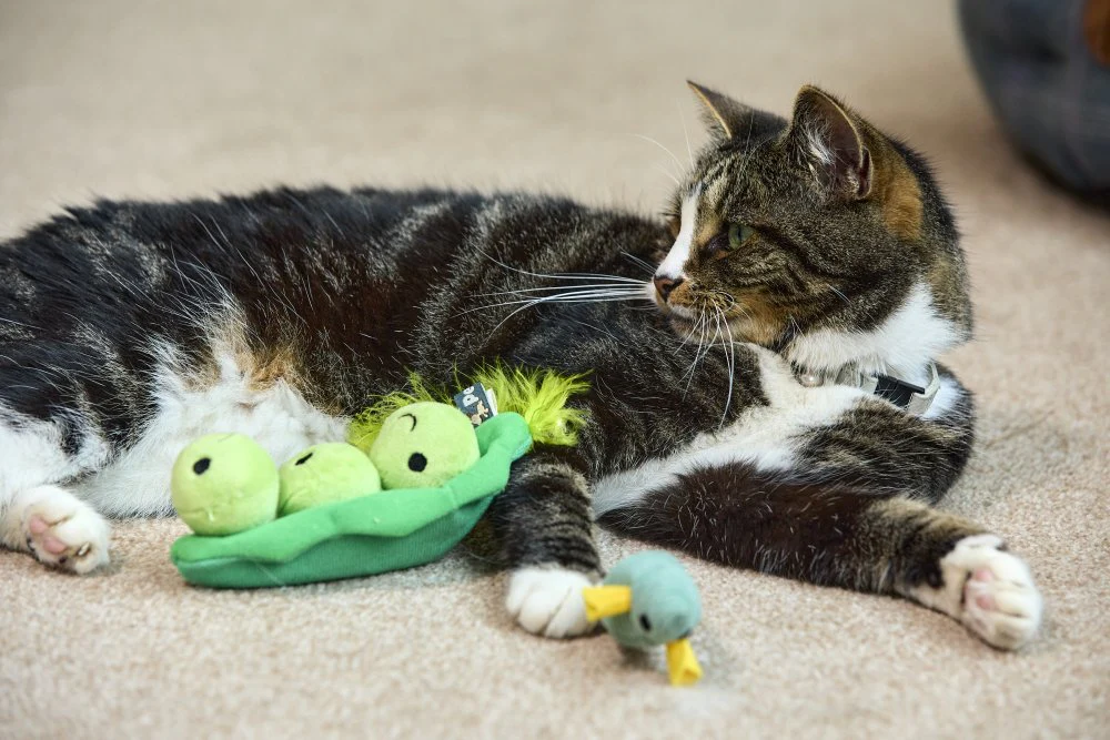 Petface Peas In A Pod Plush Cat Toy - Image 9