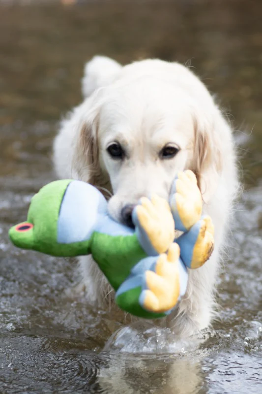 Petface Planet Trev Tree Frog Dog Toy - Image 4