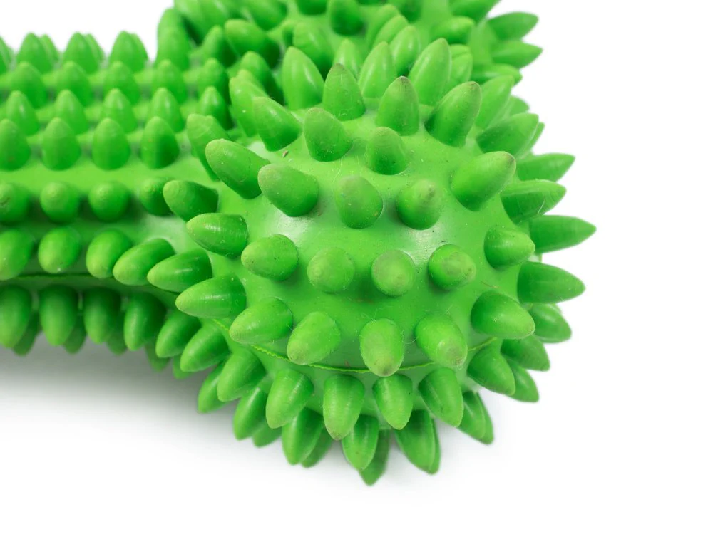 Petface Toyz Treat Bone Dog Toy - Image 4