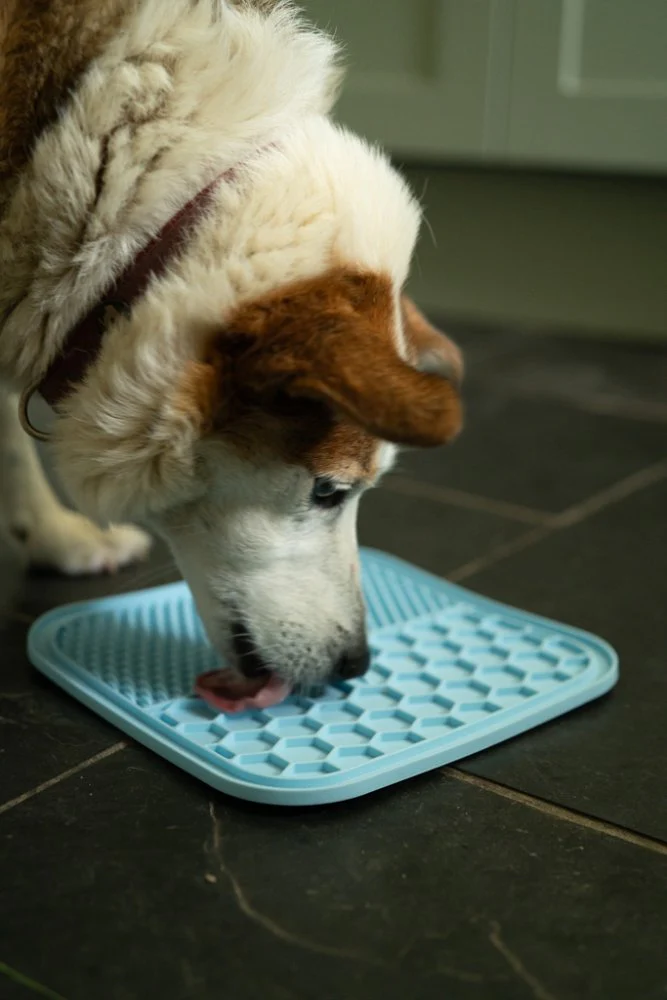 Petface Treat Mat With Suction Cup 2Pk - Image 8