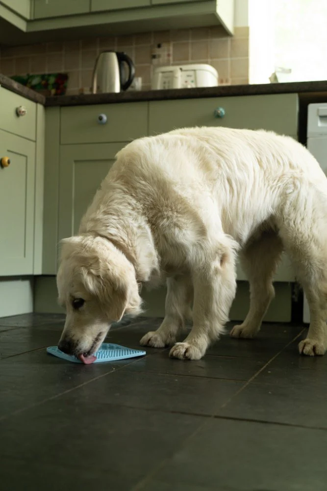 Petface Treat Mat With Suction Cup 2Pk - Image 9