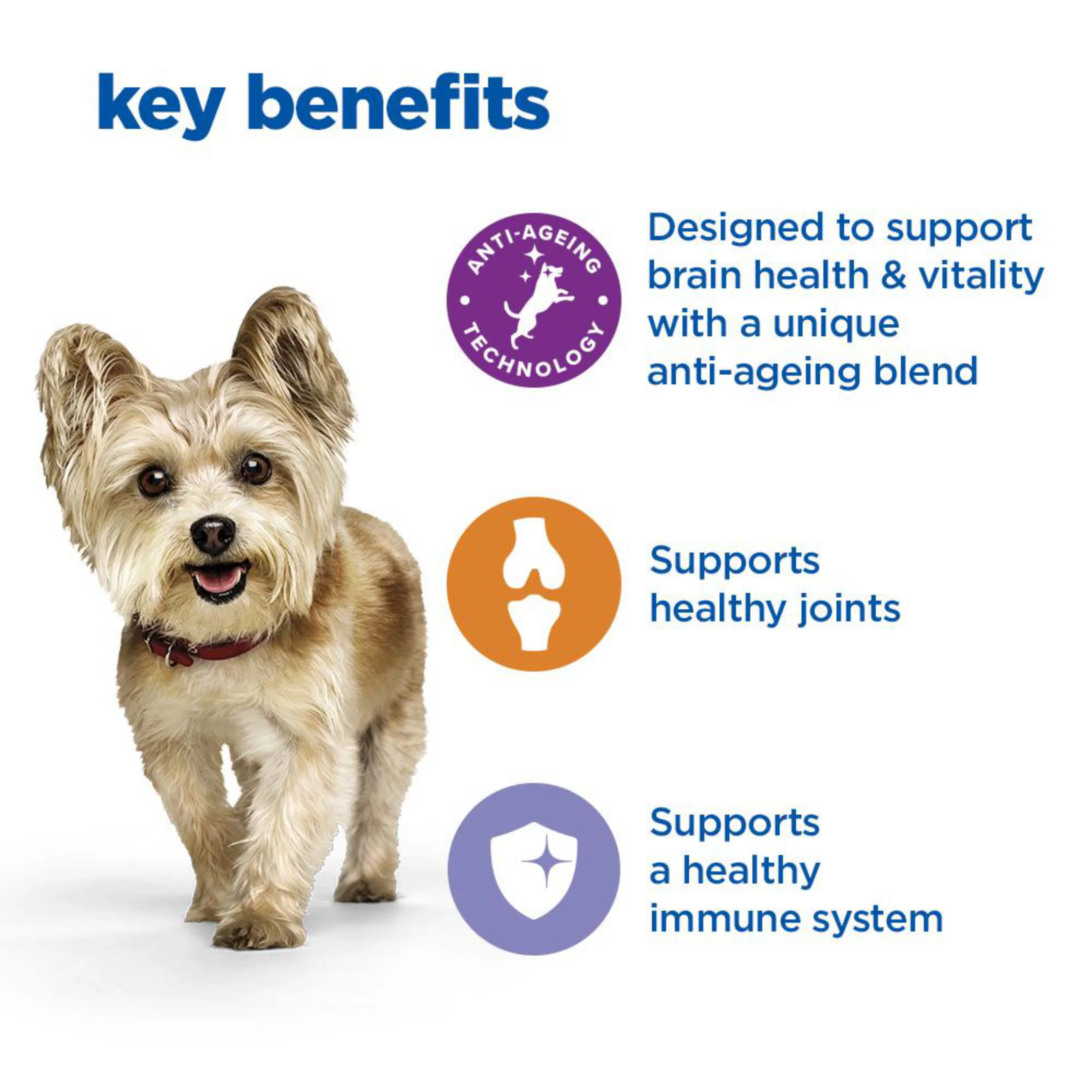 Hill’s Vet Essentials Multi-Benefit + Senior Health Small & Mini Breed Dog Food with Chicken - Image 3