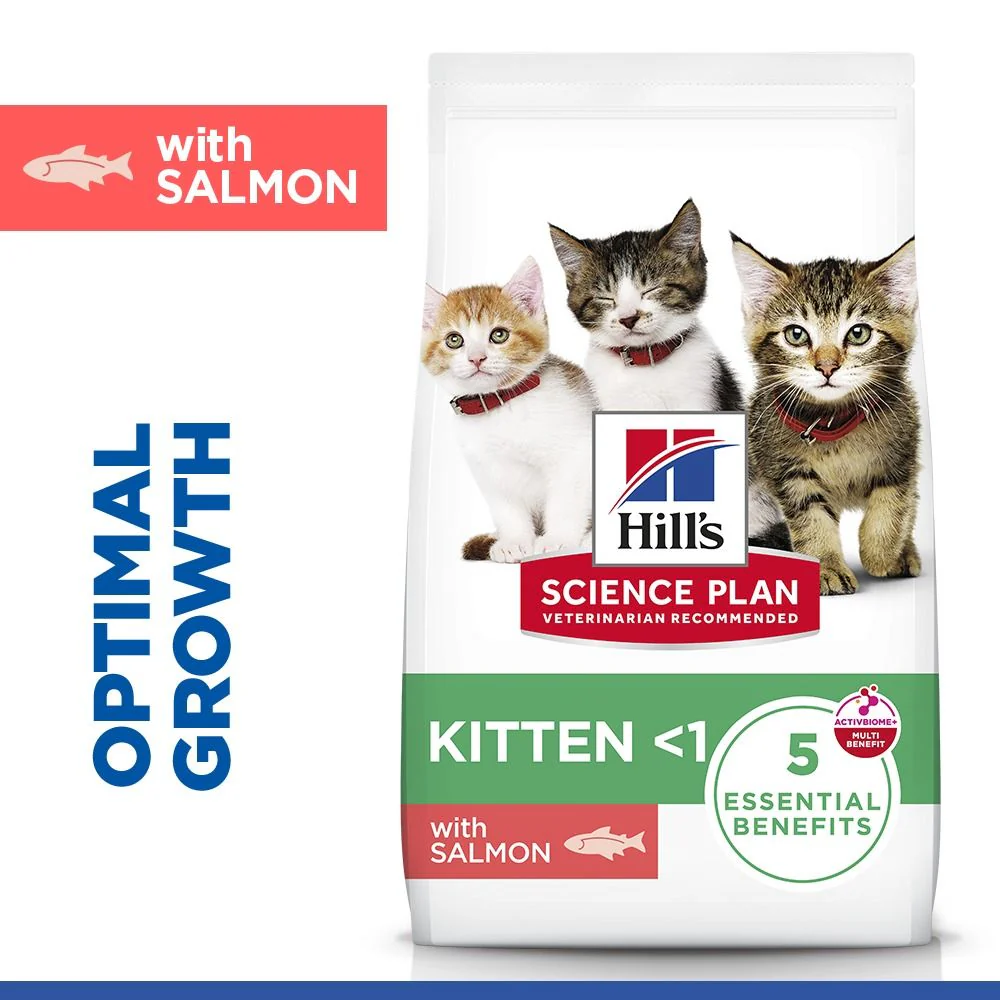 Hill's™ Science Plan Kitten Dry Food Salmon Flavour