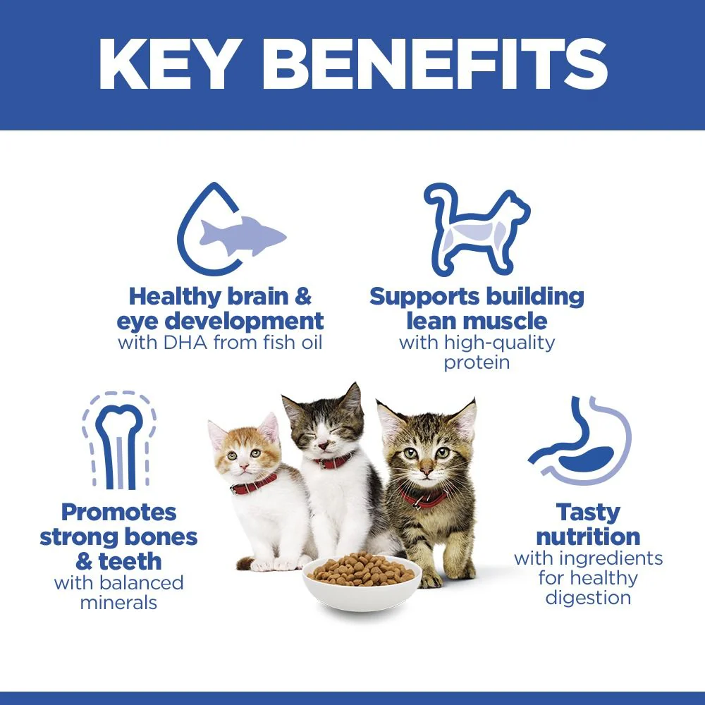 Hill's™ Science Plan Kitten Dry Food Salmon Flavour - Image 2