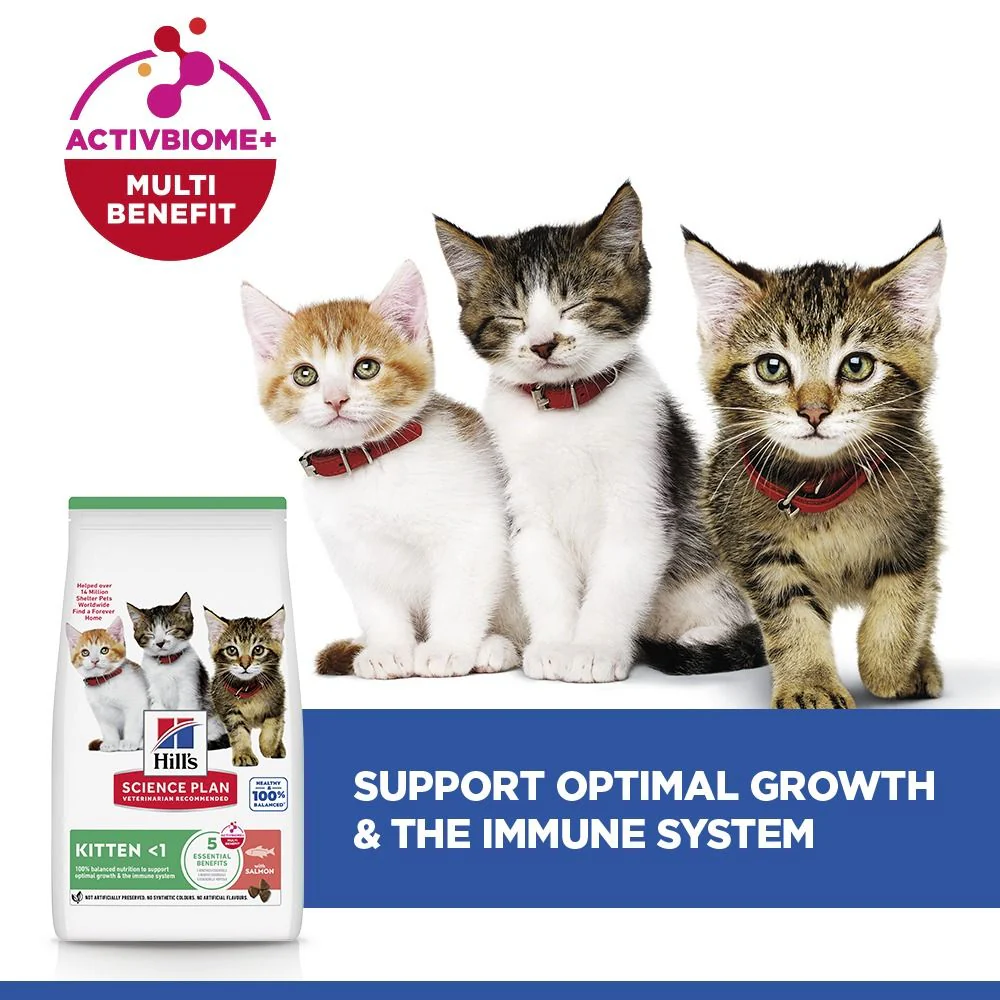 Hill's™ Science Plan Kitten Dry Food Salmon Flavour - Image 3