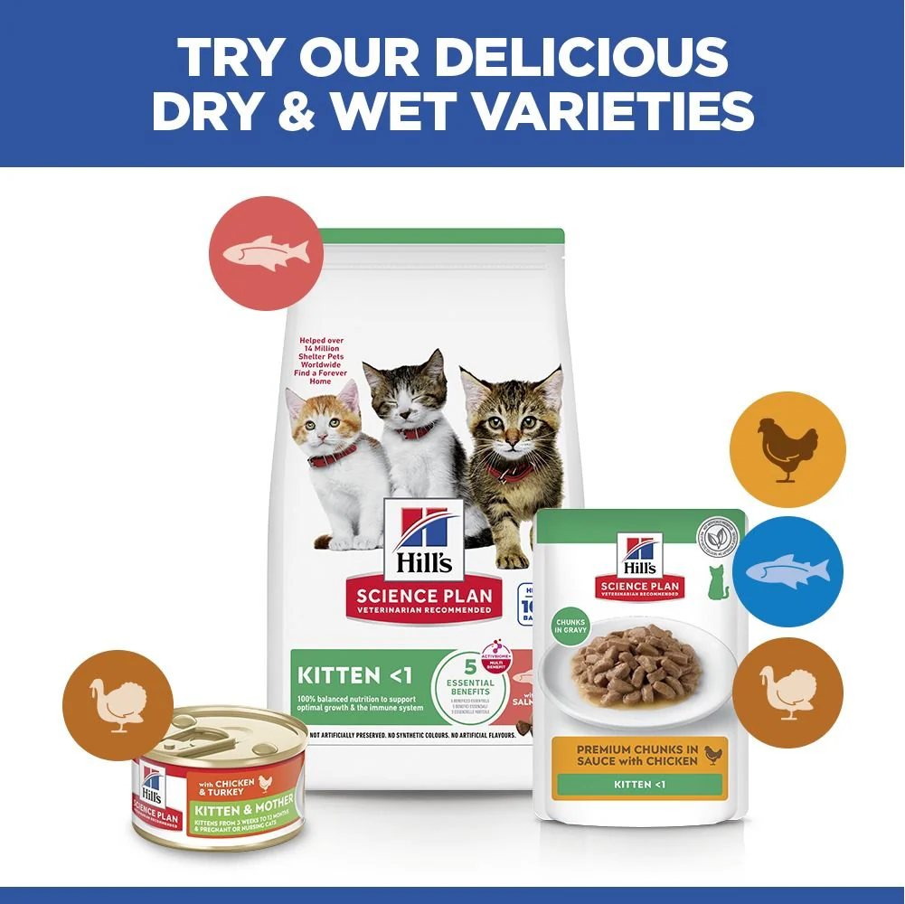 Hill's™ Science Plan Kitten Dry Food Salmon Flavour - Image 4