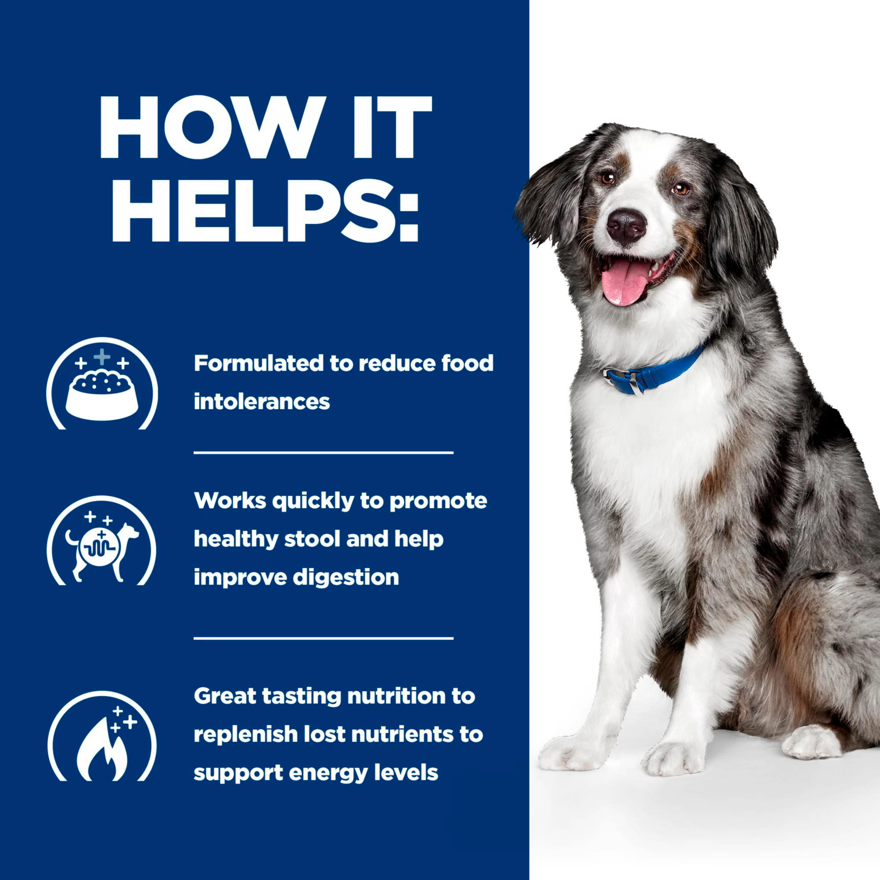Hill's™ Prescription Diet™ i/d™ Sensitive Dog Food with Egg and Rice 12kg - Image 3