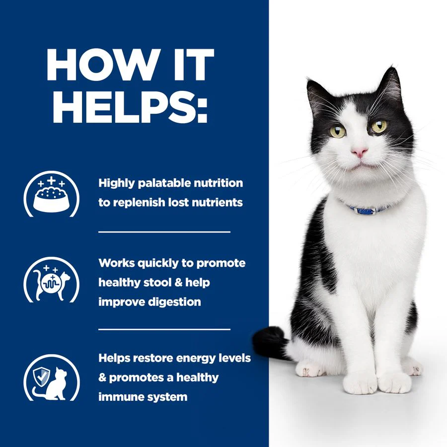 Hill's Prescription Diet i/d Cat Food with Chicken - Image 4