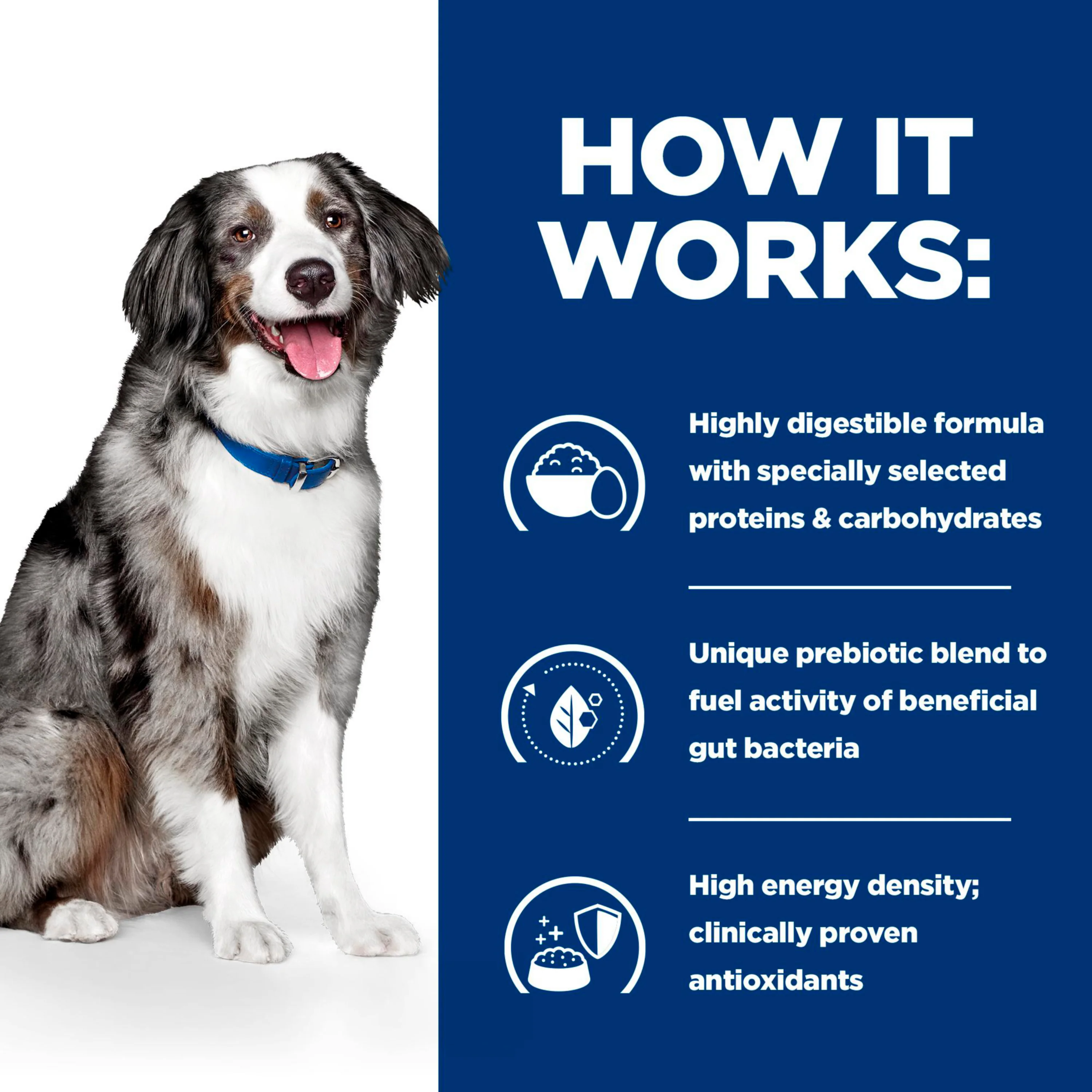 Hill's™ Prescription Diet™ i/d™ Sensitive Dog Food with Egg and Rice - Image 4