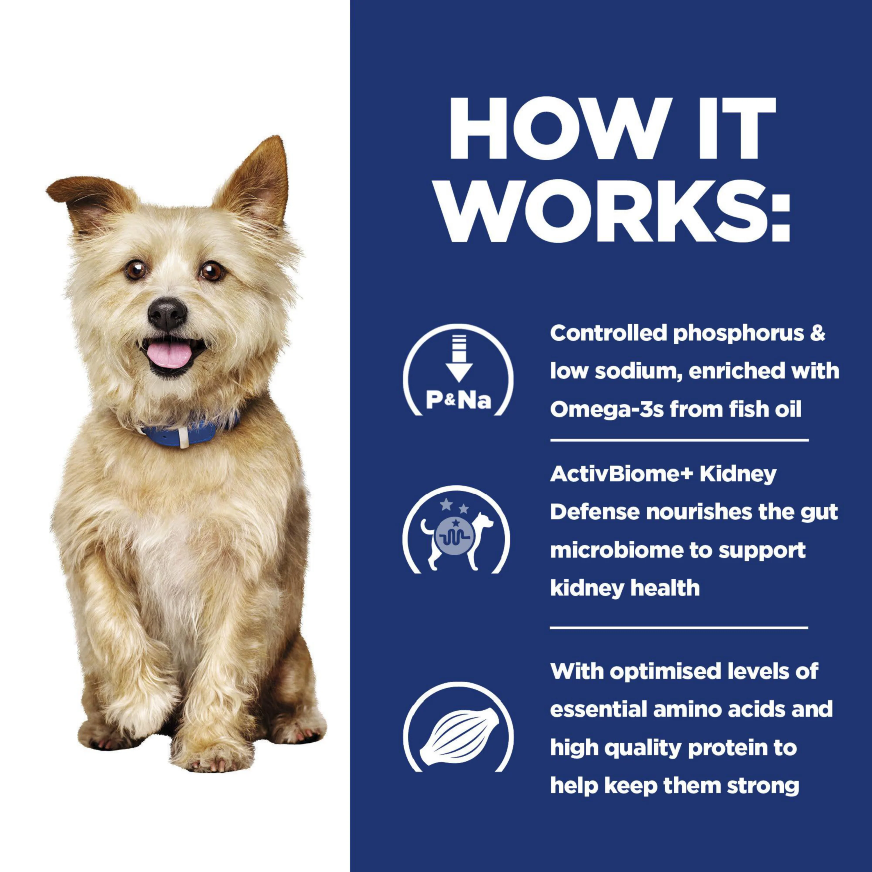 Hill's Prescription Diet k/d Kidney Care Dog Food - Image 4