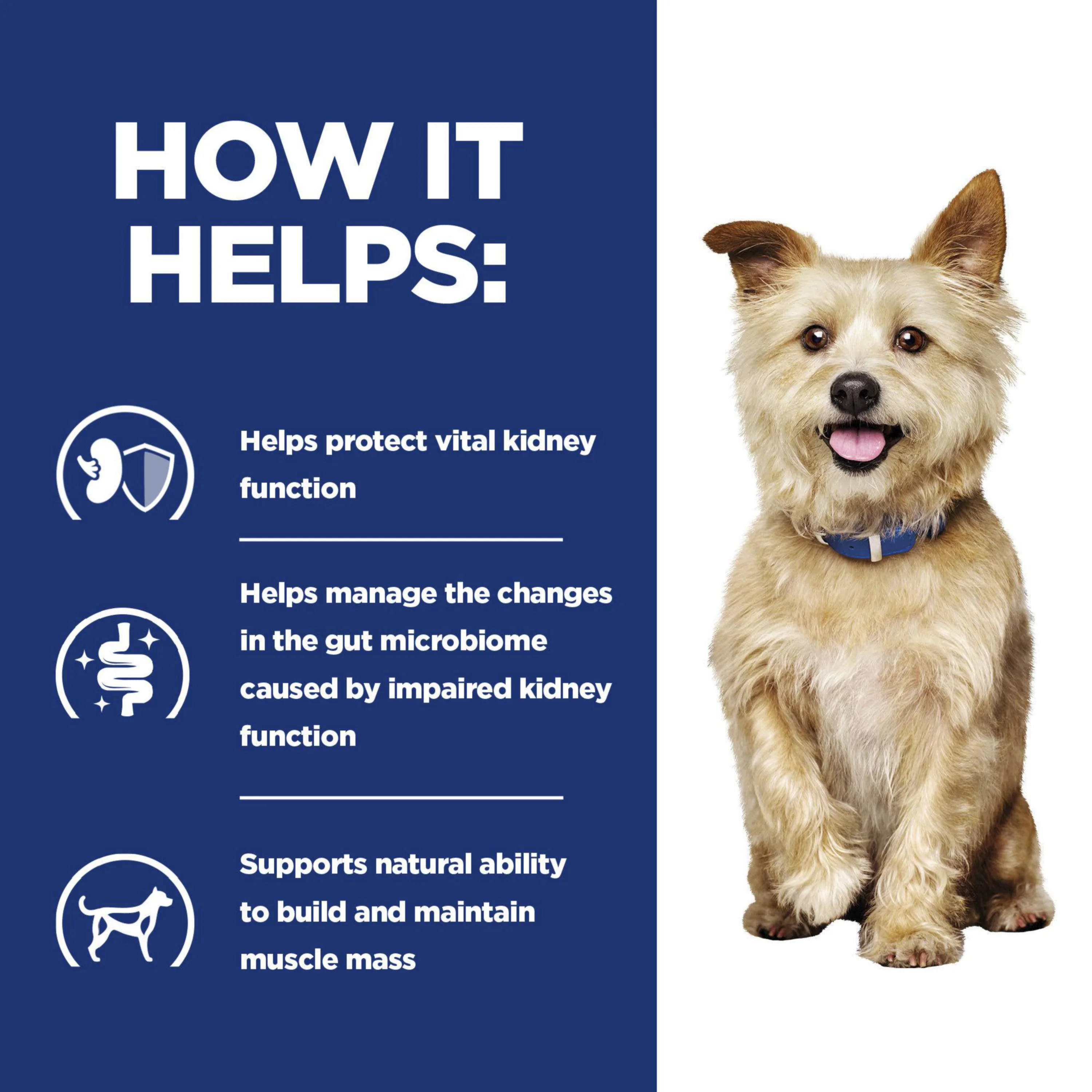 Hill's Prescription Diet k/d Kidney Care Dog Food - Image 5