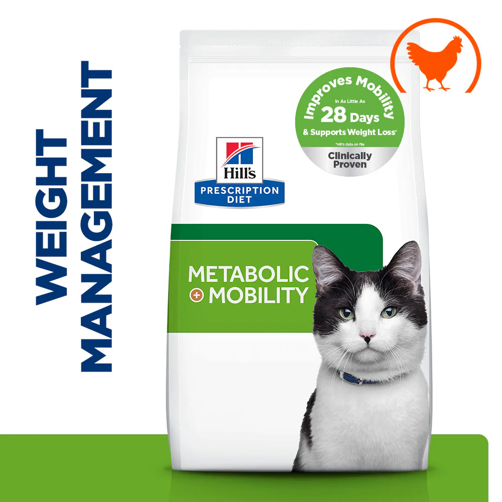 Cat Care Supplies