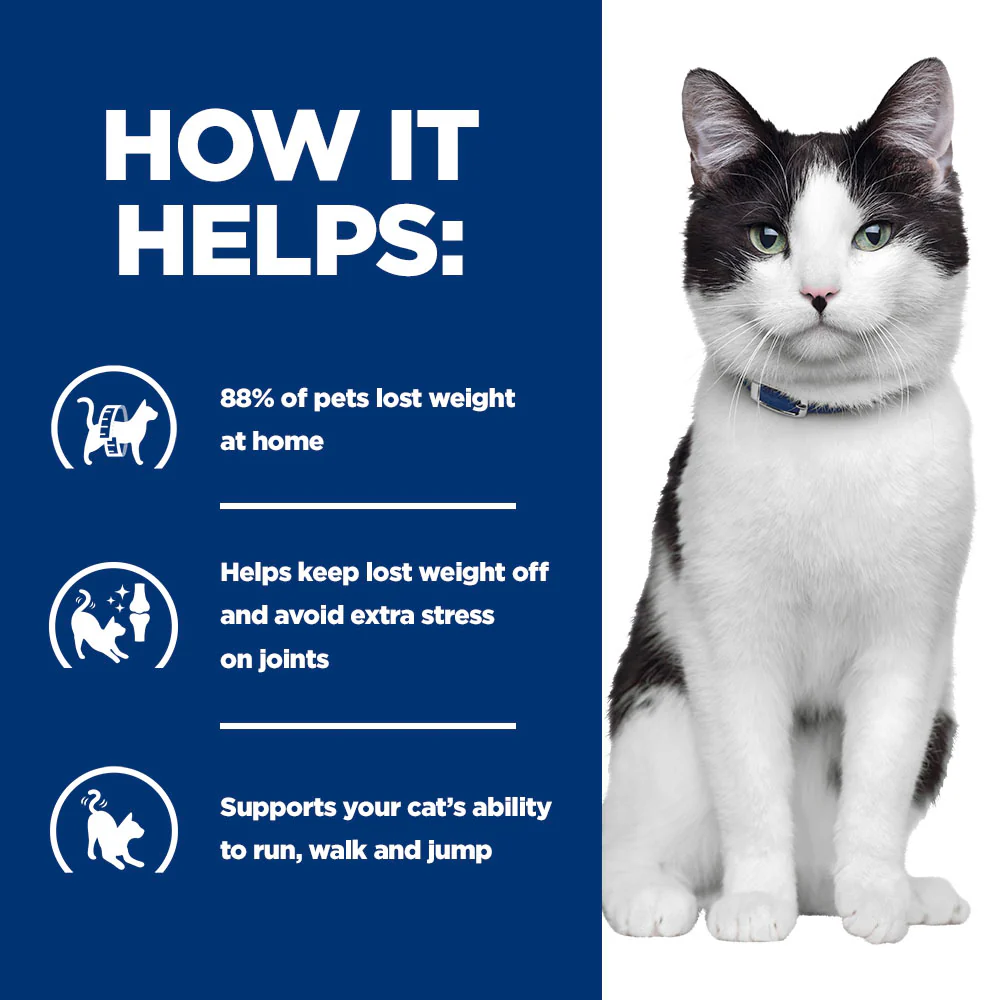 Hills Prescription Diet Metabolic + Mobility Wet cat Food with Chicken - Image 4