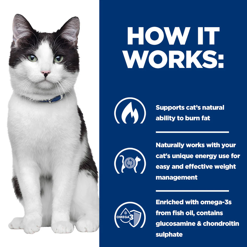 Hills Prescription Diet Metabolic + Mobility Wet cat Food with Chicken - Image 5