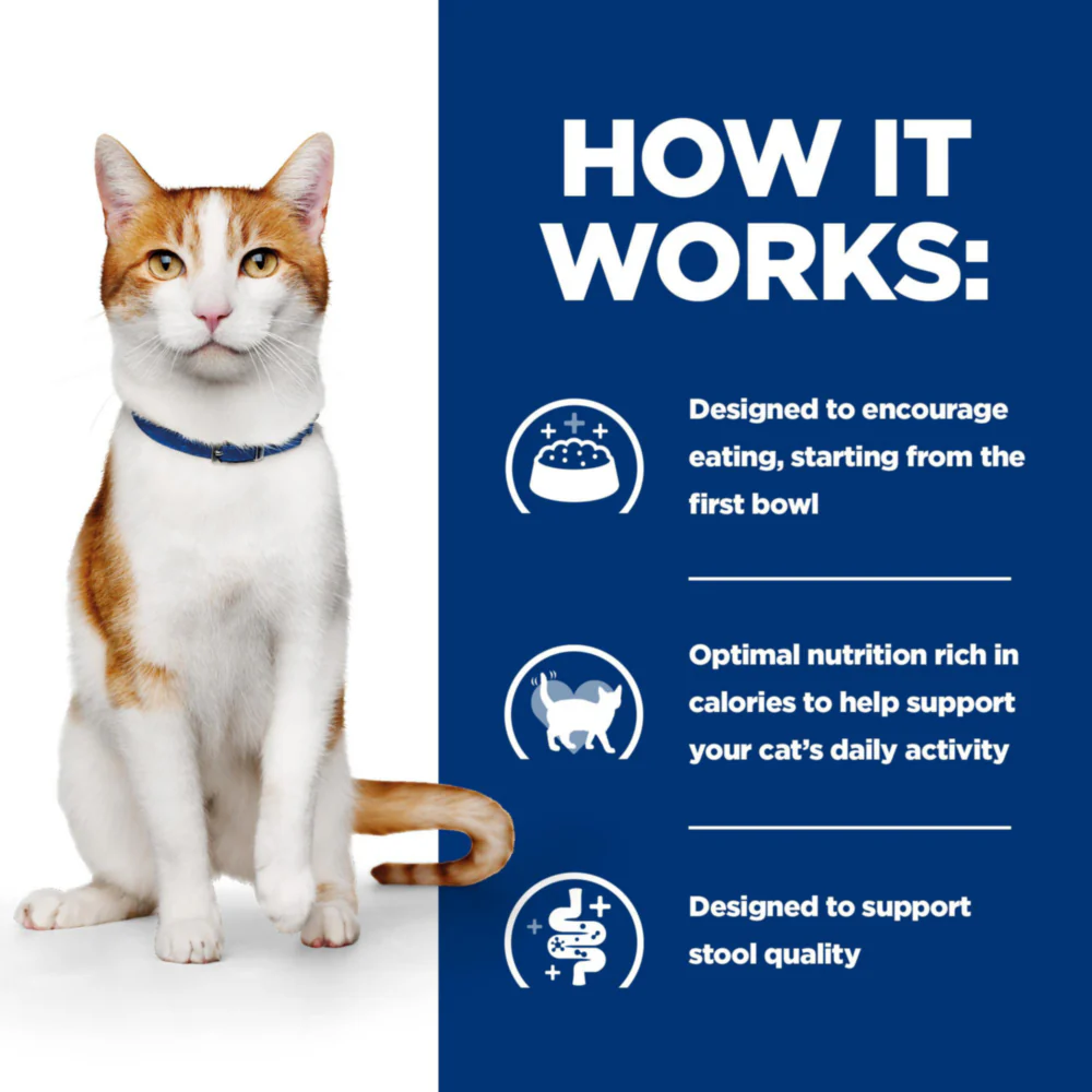 Hill's™ Prescription Diet™ ON-CARE™ with Chicken Dry Cat Food - Image 3