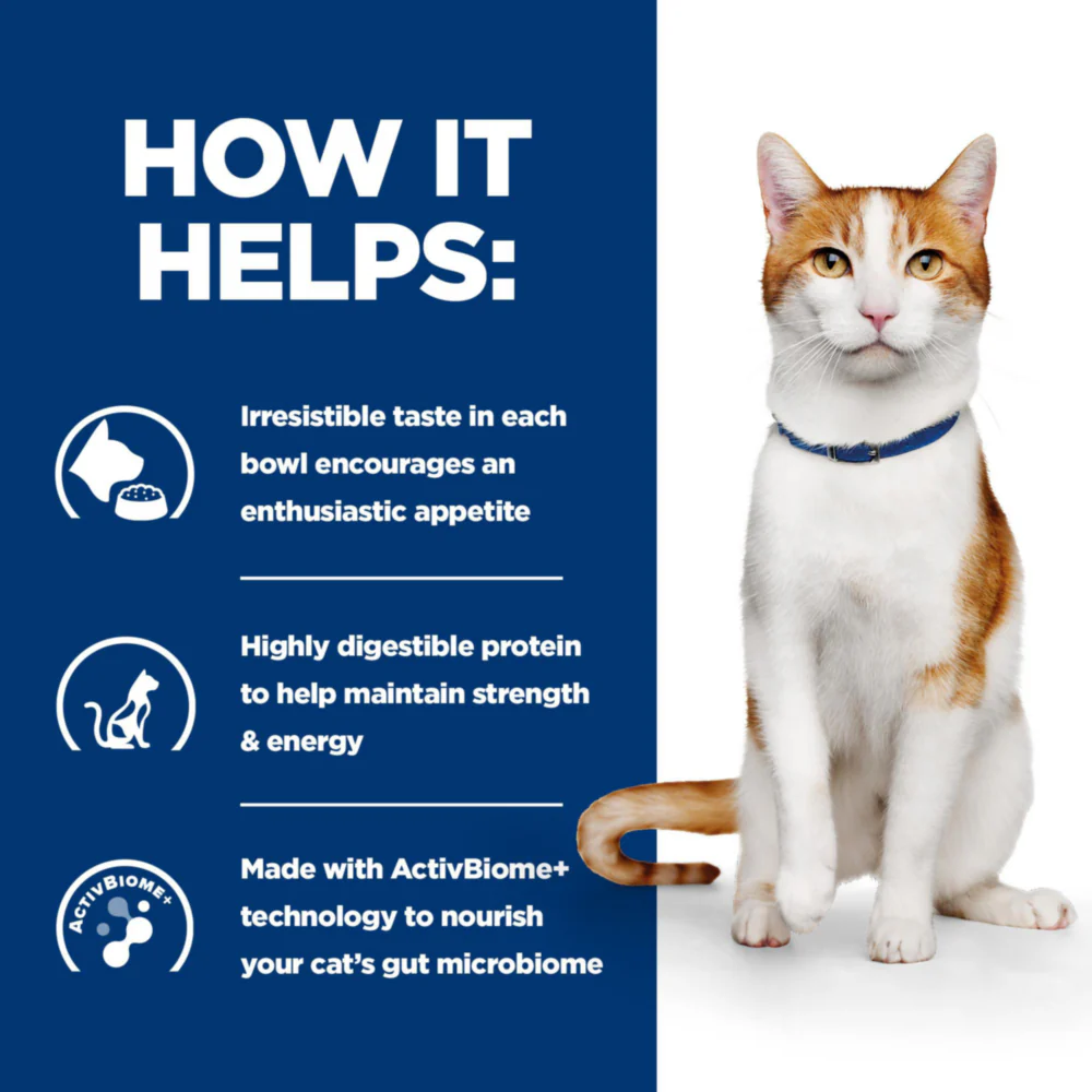 Hill's™ Prescription Diet™ ON-CARE™ with Chicken Dry Cat Food - Image 4