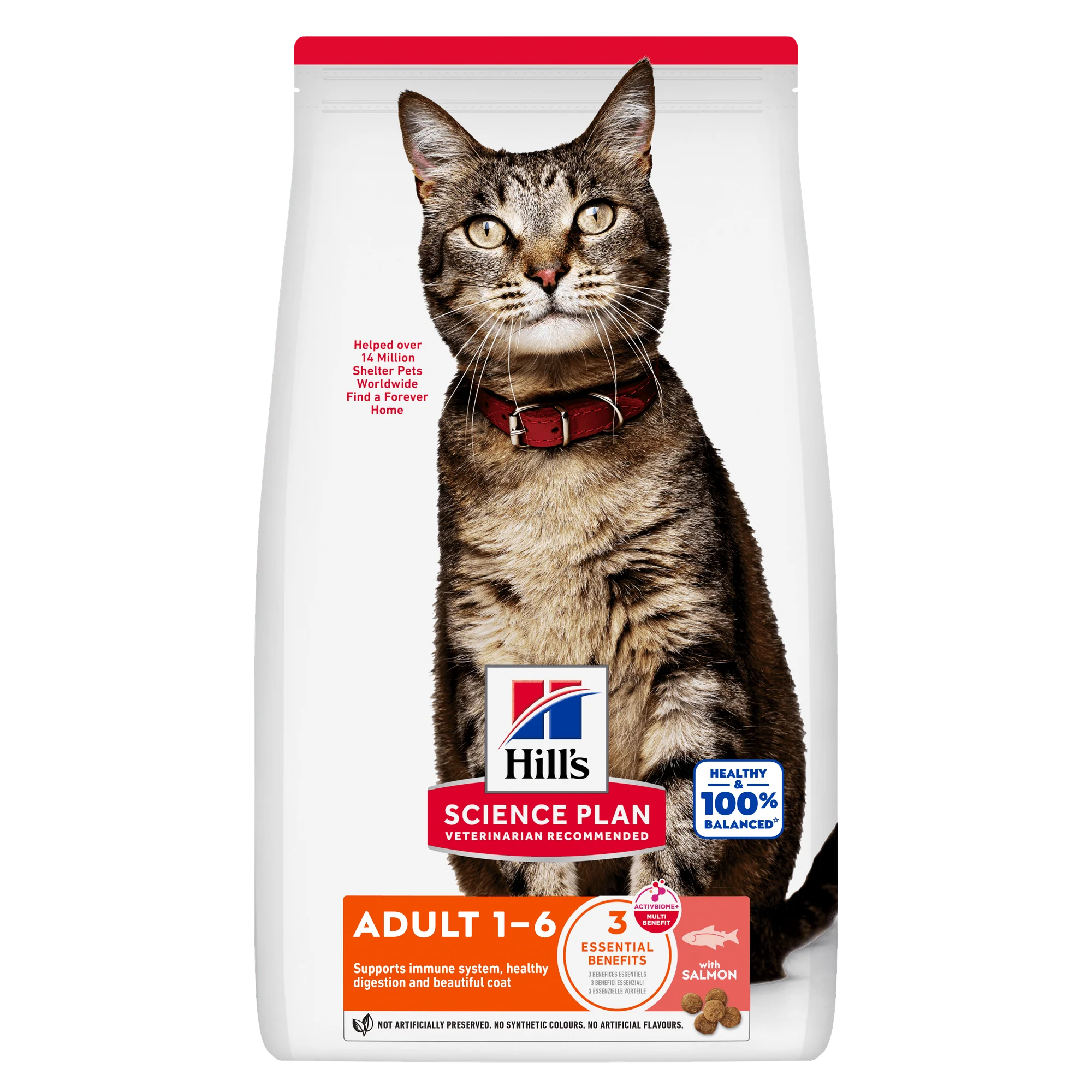 Hill's Science Plan Adult Dry Cat Food with Salmon - Image 2