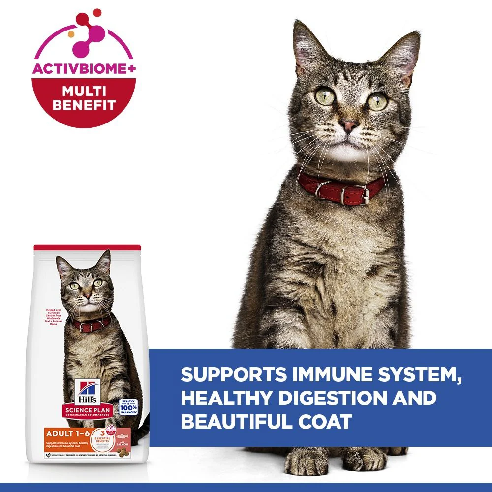 Hill's Science Plan Adult Dry Cat Food with Salmon - Image 4