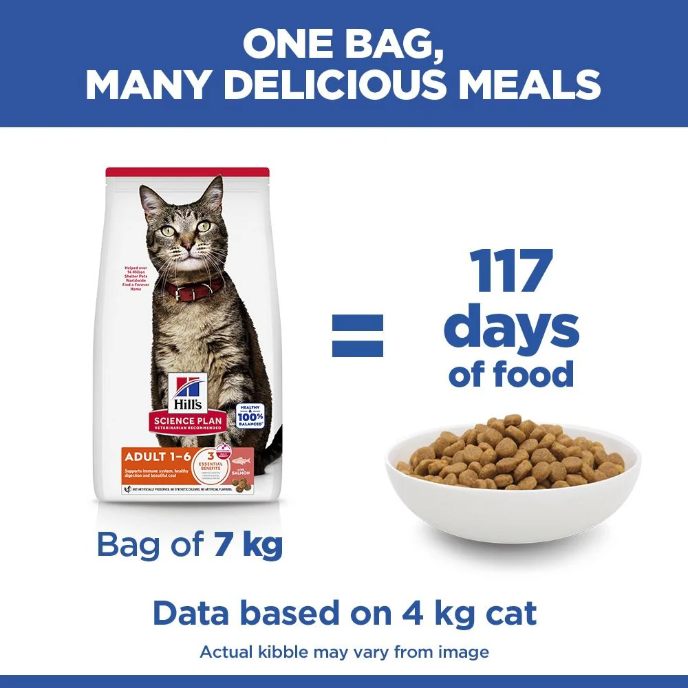Hill's Science Plan Adult Dry Cat Food with Salmon - Image 5