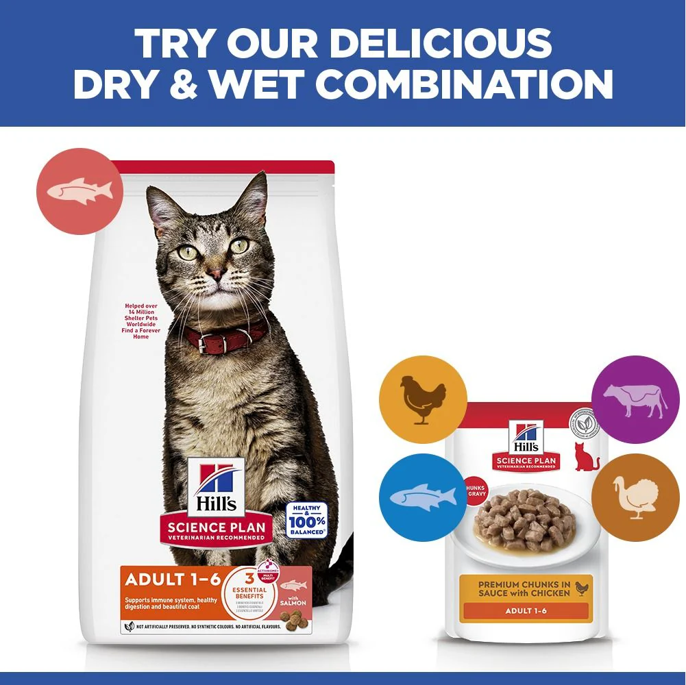 Hill's Science Plan Adult Dry Cat Food with Salmon - Image 6