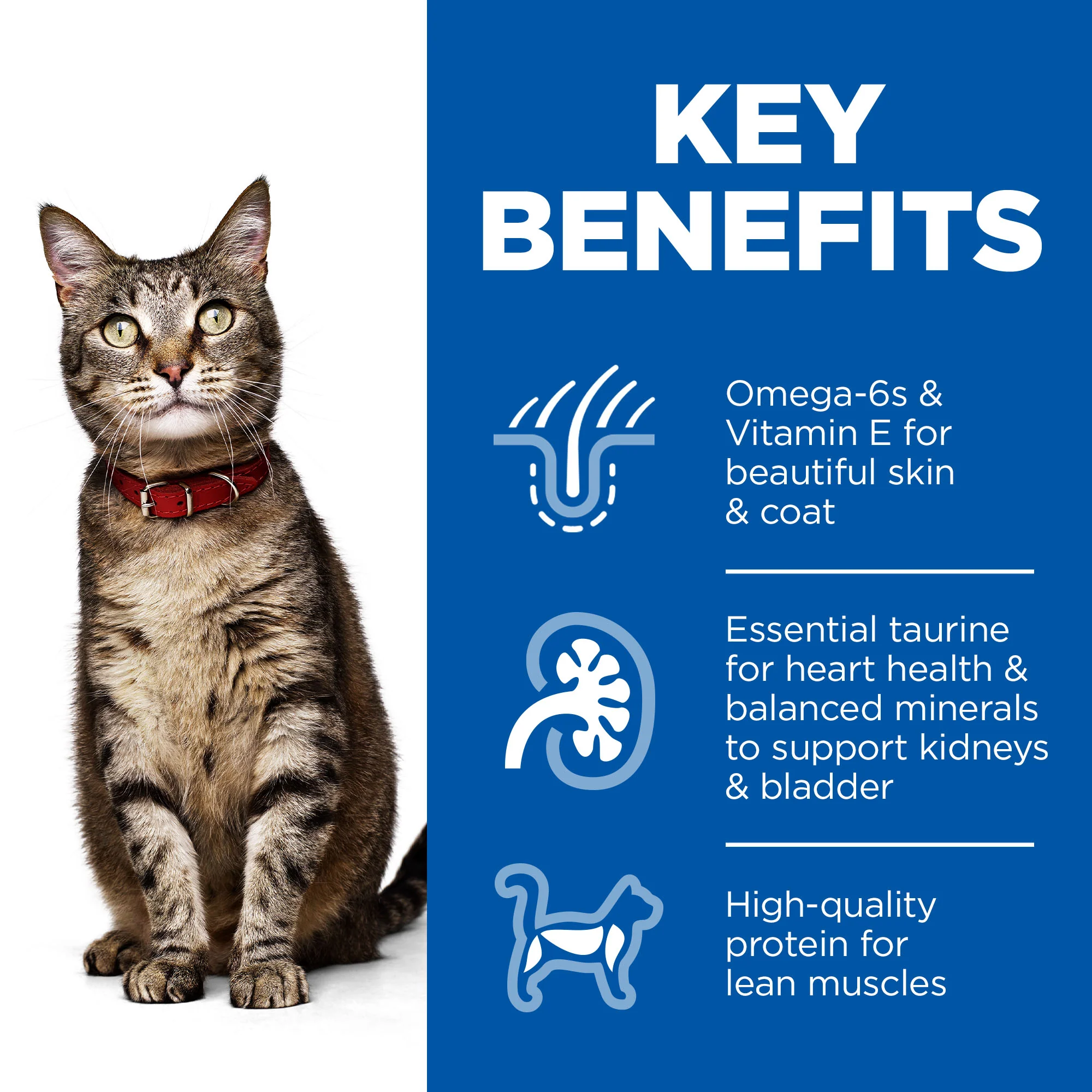 Hill's™ Science Plan Adult Dry Cat Tuna Flavour - Image 2