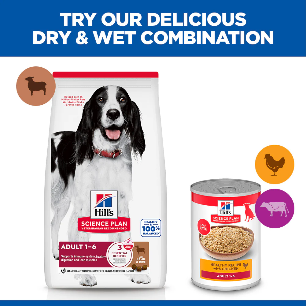 Hill's™ Science Plan Adult Medium Dry Dog Food Lamb & Rice Flavour 18kg - Image 5