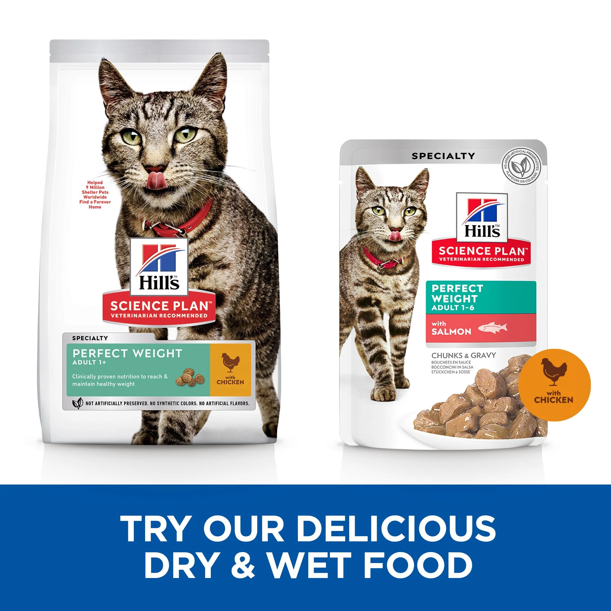 Hill's Science Plan Adult Perfect Weight Wet Cat Food Multipack Chicken & Salmon Flavour - Image 3