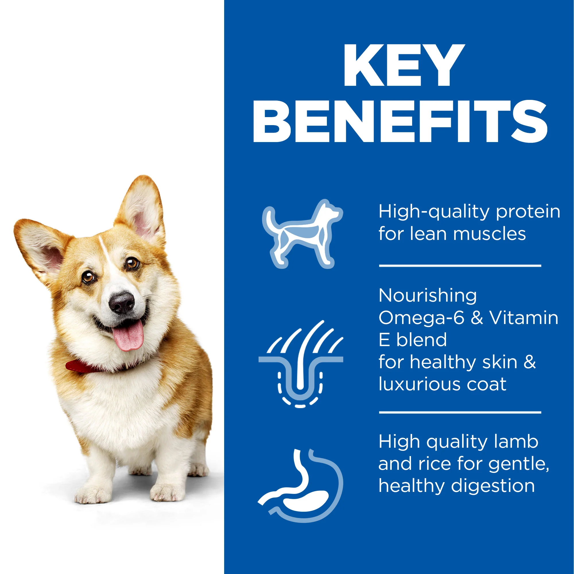 Hill's™ Science Plan Adult Small & Mini Dry Dog Food Lamb & Rice Flavour - Image 2