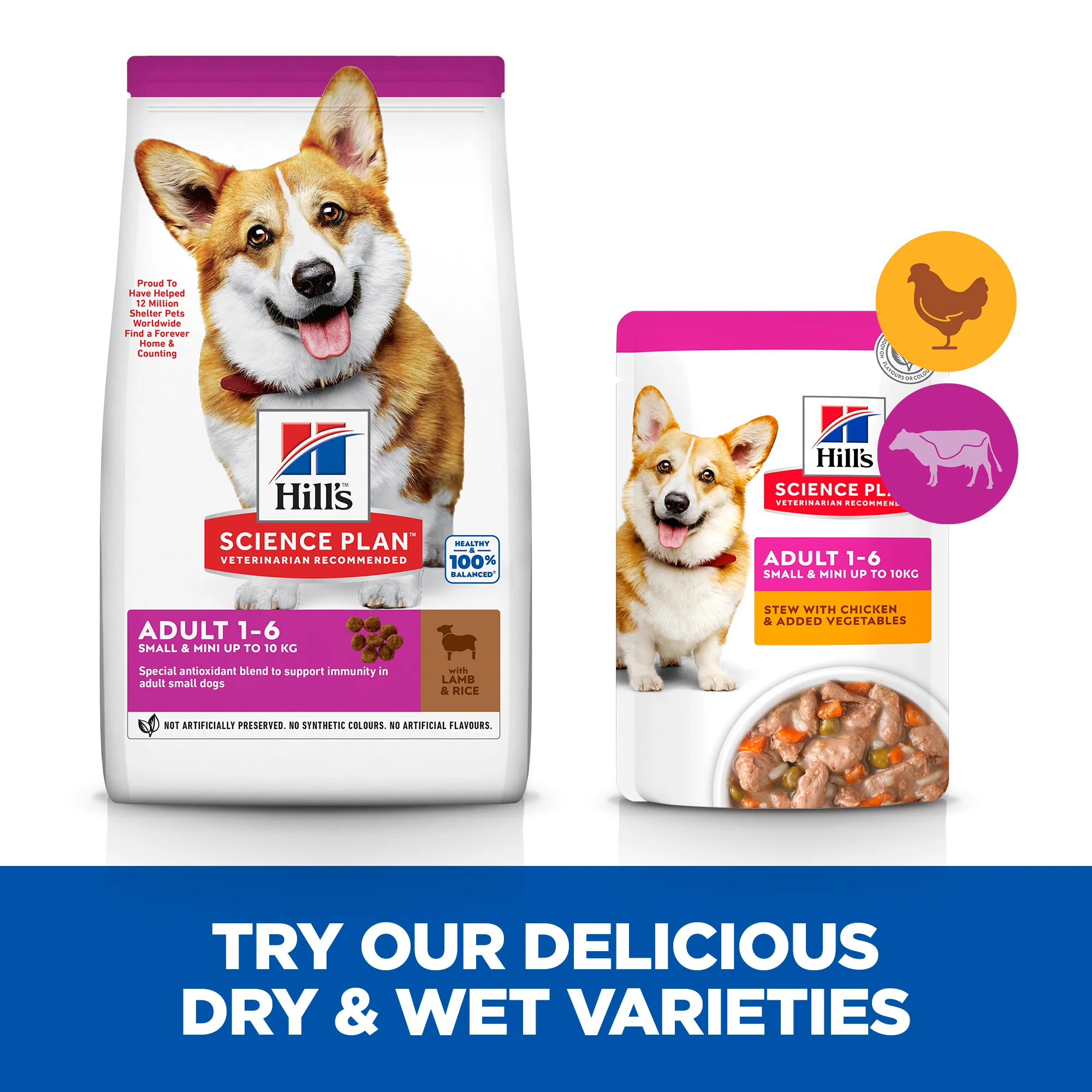 Hill's™ Science Plan Adult Small & Mini Dry Dog Food Lamb & Rice Flavour 6kg - Image 4