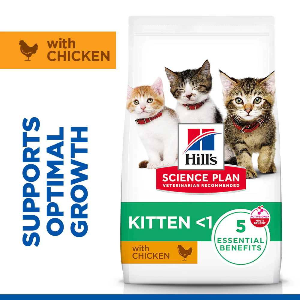 Hill's™ Science Plan Dry Kitten Chicken Flavour