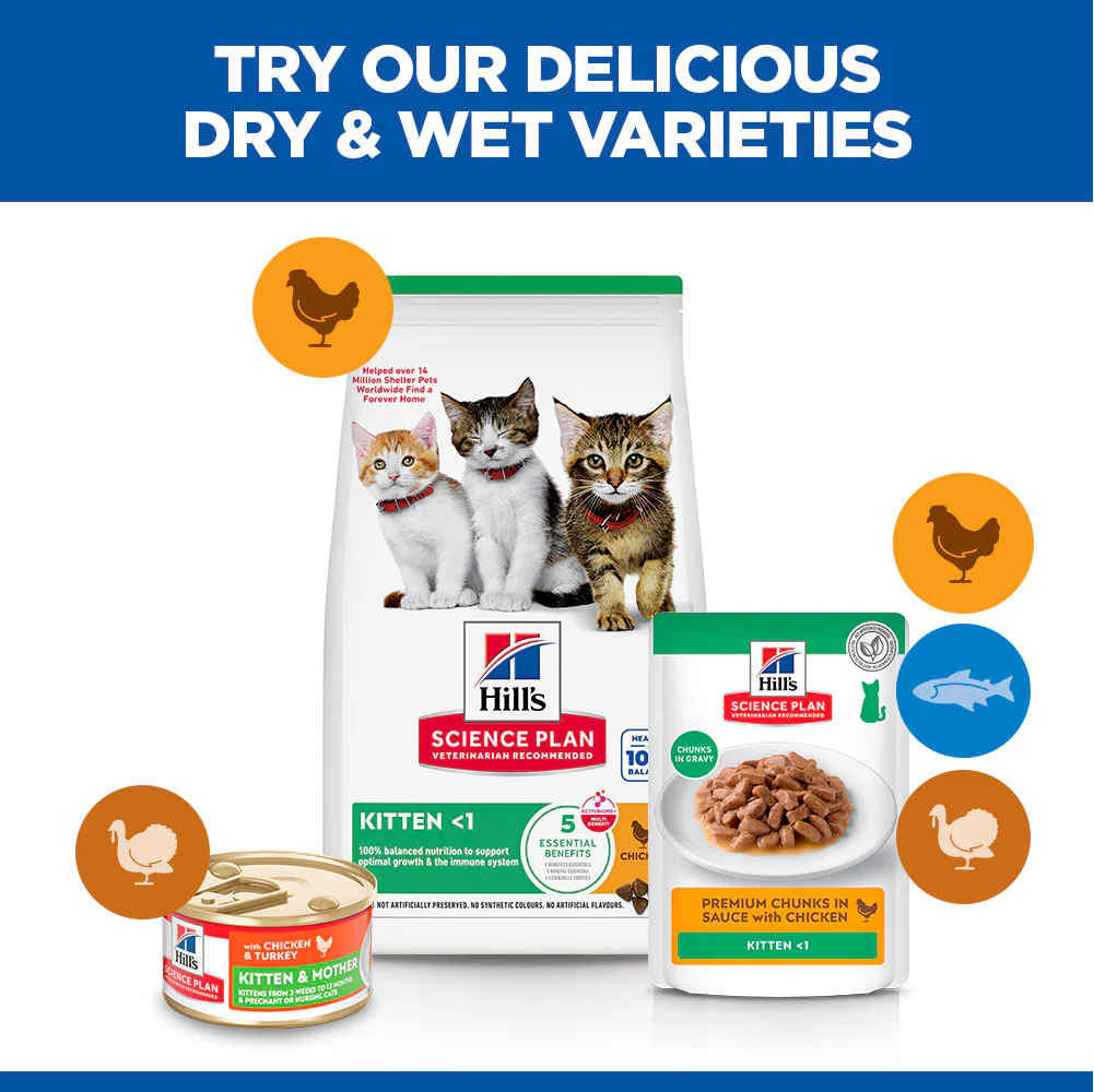 Hill's™ Science Plan Dry Kitten Chicken Flavour - Image 3