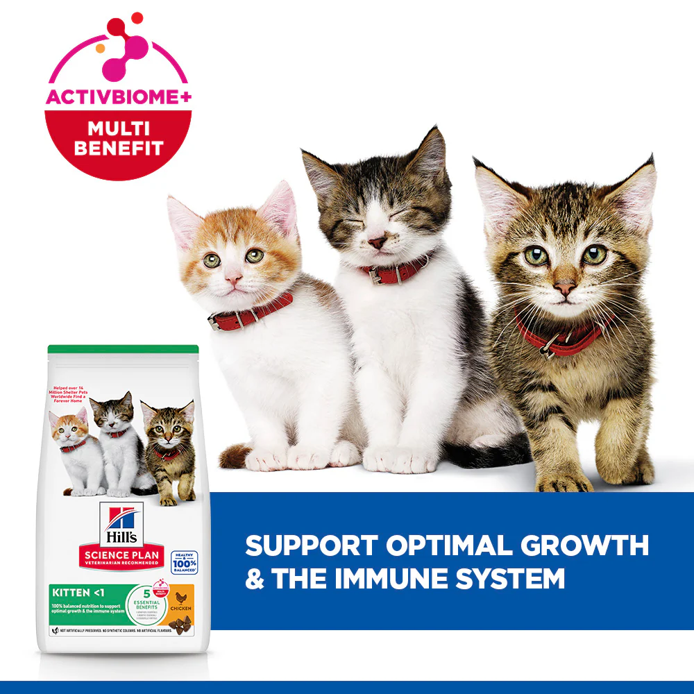 Hill's™ Science Plan Dry Kitten Chicken Flavour - Image 5