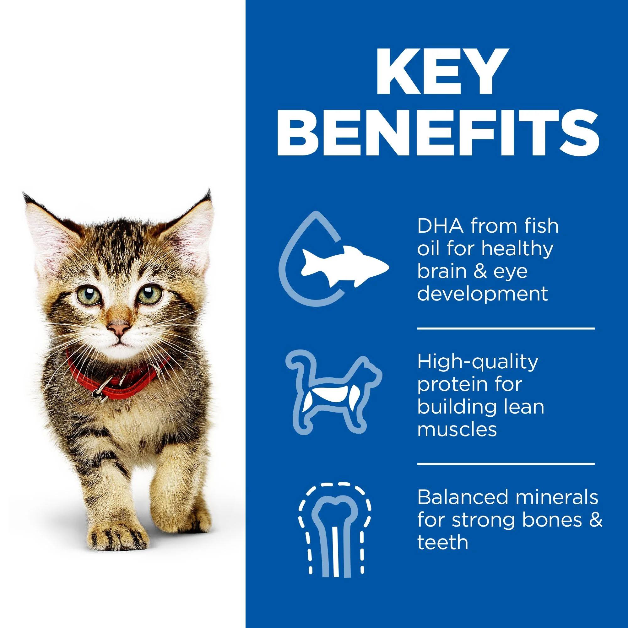 Hill's™ Science Plan Kitten Wet Multipack Chicken & Ocean Fish 85g - Image 2