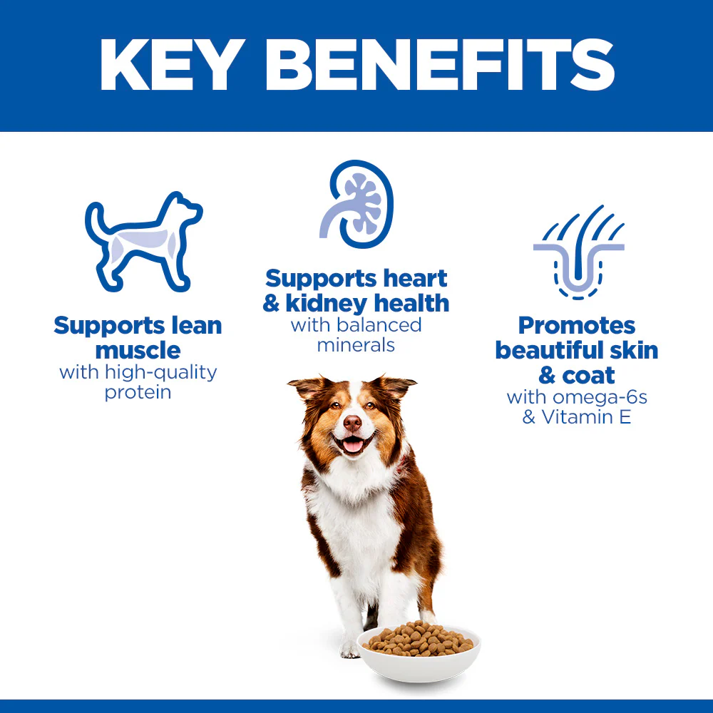 Hill's™ Science Plan Mature Adult 7+ Medium Dry Dog Food Chicken Flavour 18kg - Image 5