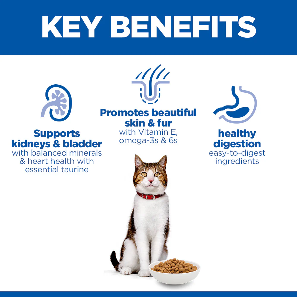 Hill's™ Science Plan Mature Adult Dry Cat Chicken Flavour - Image 2