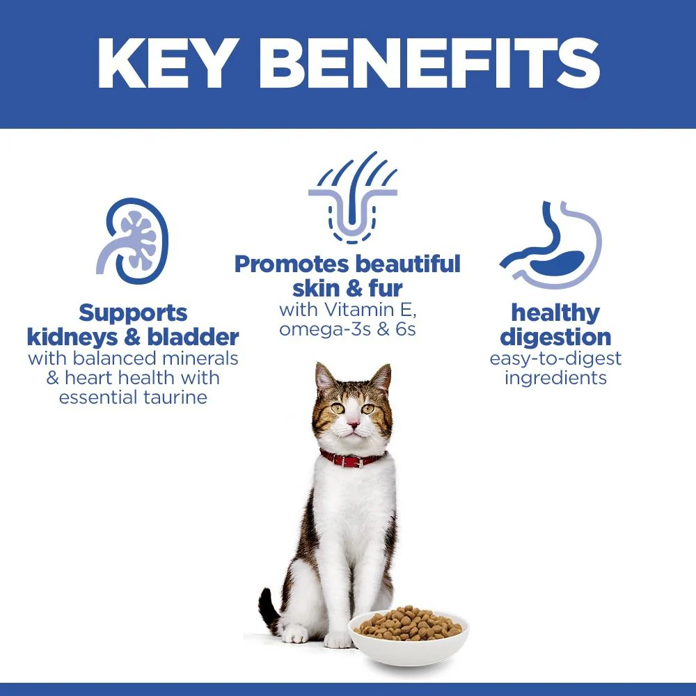 Hill's Science Plan Mature Adult Dry Cat Food with Salmon 10kg - Image 3
