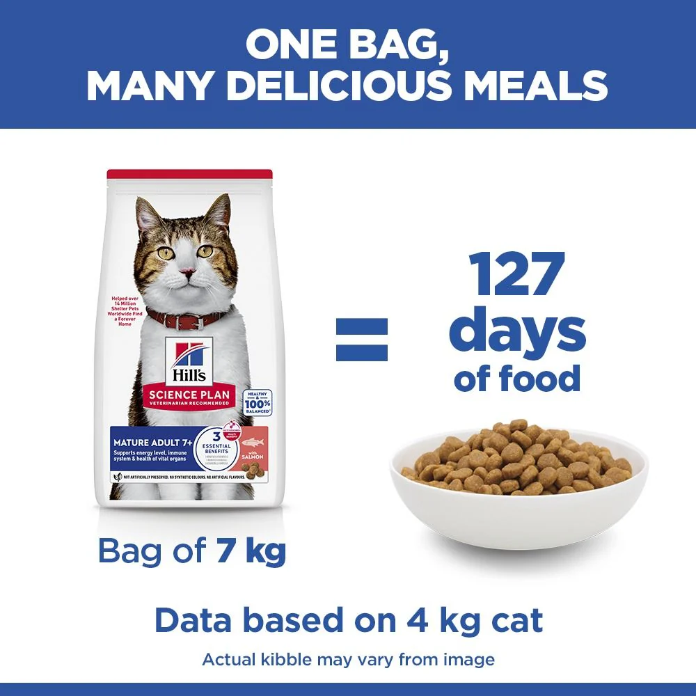 Hill's Science Plan Mature Adult Dry Cat Food with Salmon 10kg - Image 6